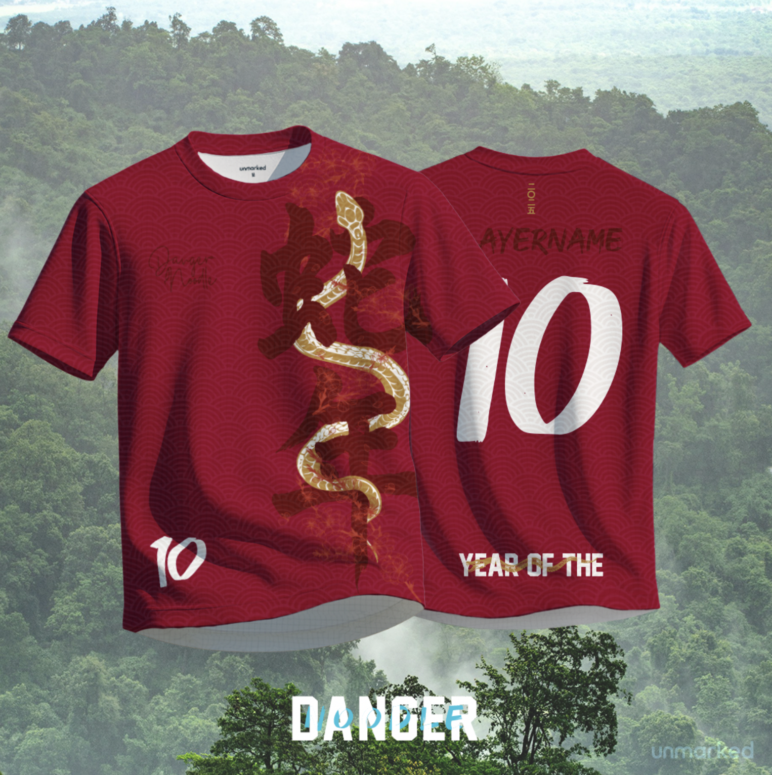 Danger Noodle kit